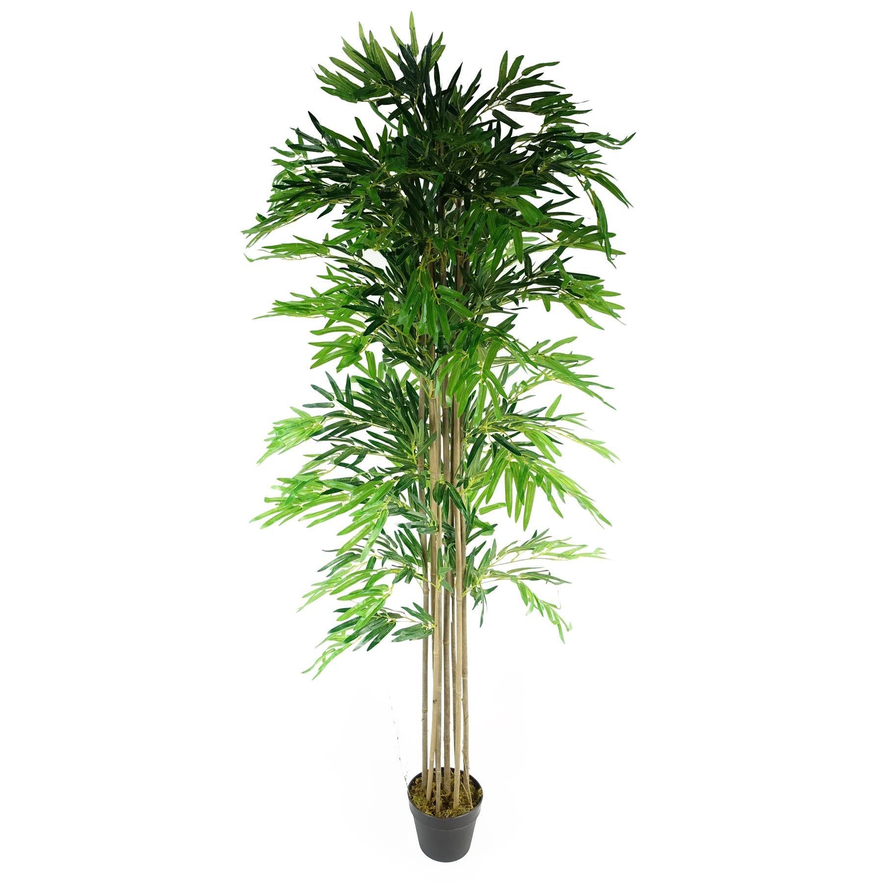 Leaf Design UK LTD - Wholesale Artificial Plant - Artificial Bamboo Plants Trees Wood Trunk 180cm 6ft0