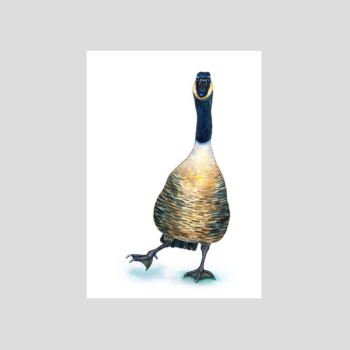 Fine art print - Gus the Goose for wholesale by Charlotte Nicolin