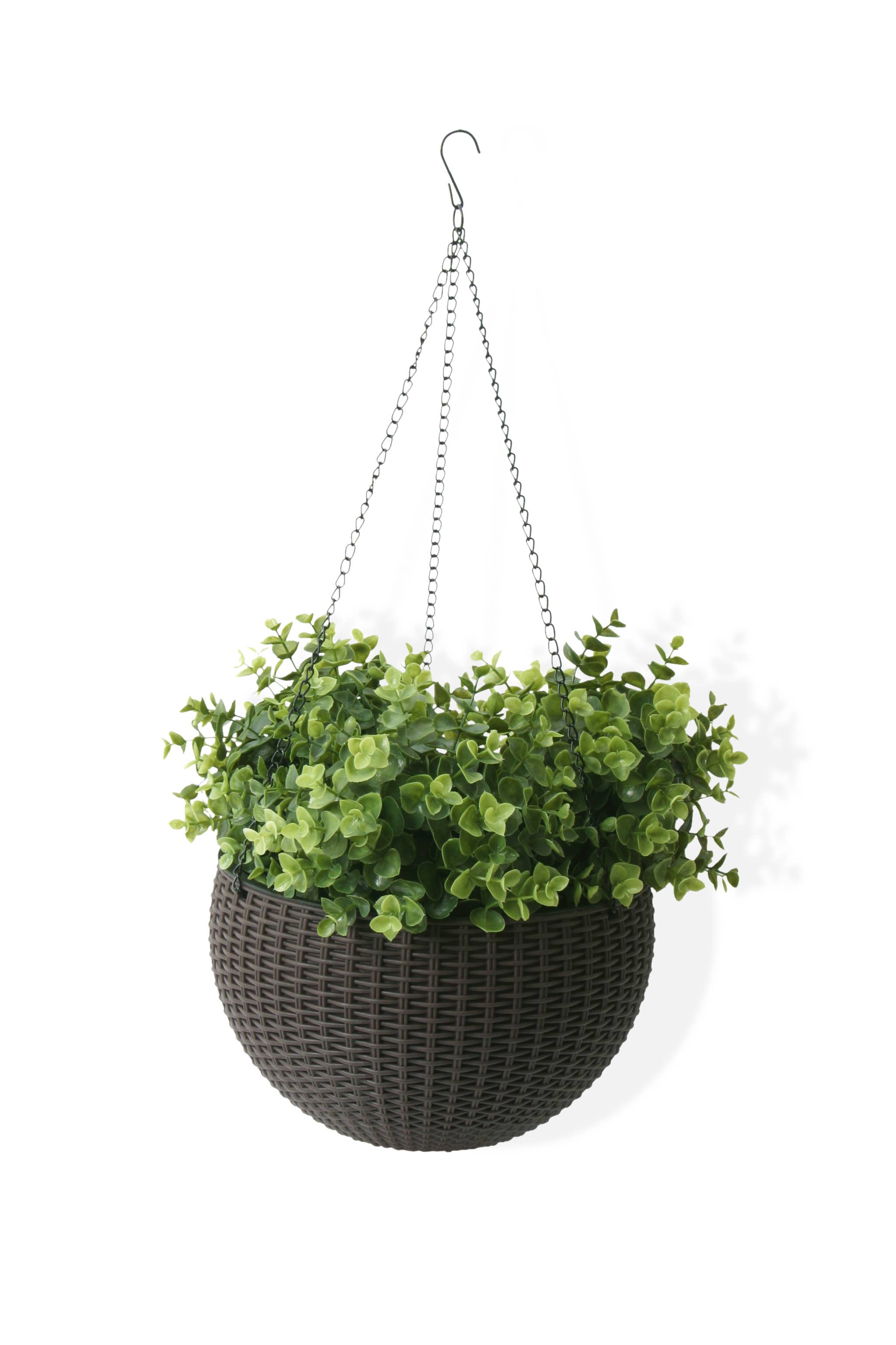 Algreen - Wholesale Hanging Planter - Modena Self-Watering Hanging Basket Planter