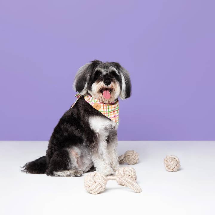 DoggySquad – wholesale Pet rope toy – Dog – Rope Ball Toy Set2