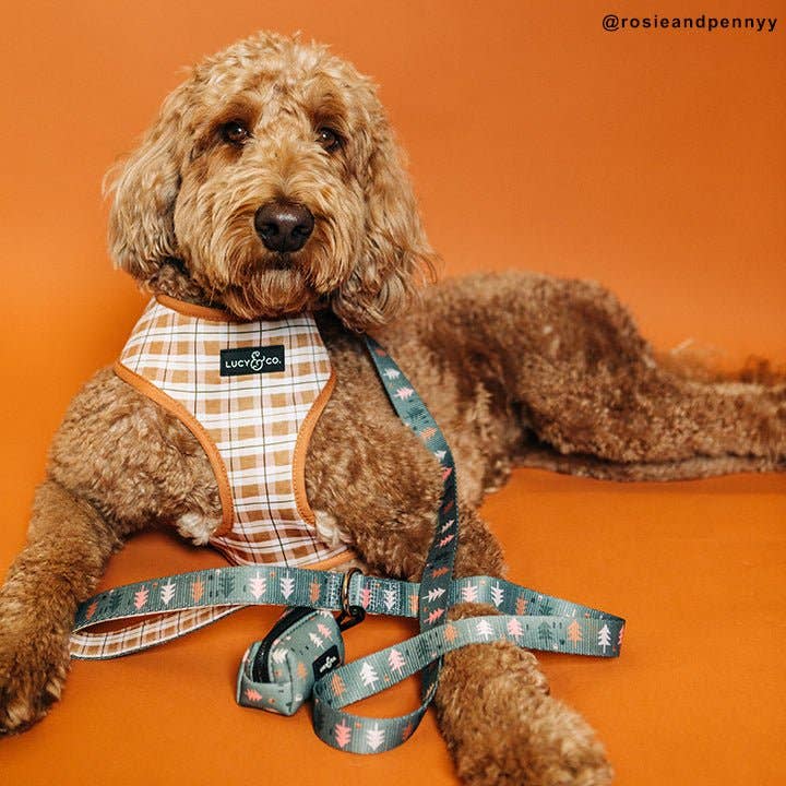 Lucy & Co. – wholesale Pet leash – Dog – Take a Hike Leash1