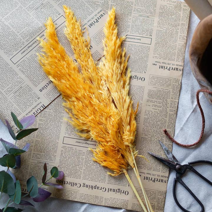 6x2x37"H 3pc/Bag Cream Pampas Grass Cluster and other Purchase Wholesale fluffy pampas grass. Free Returns & Net 60 Terms on Faire trending on Faire.