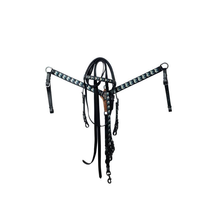 Biothene Complete Western Set for wholesale by Pro Classic Global