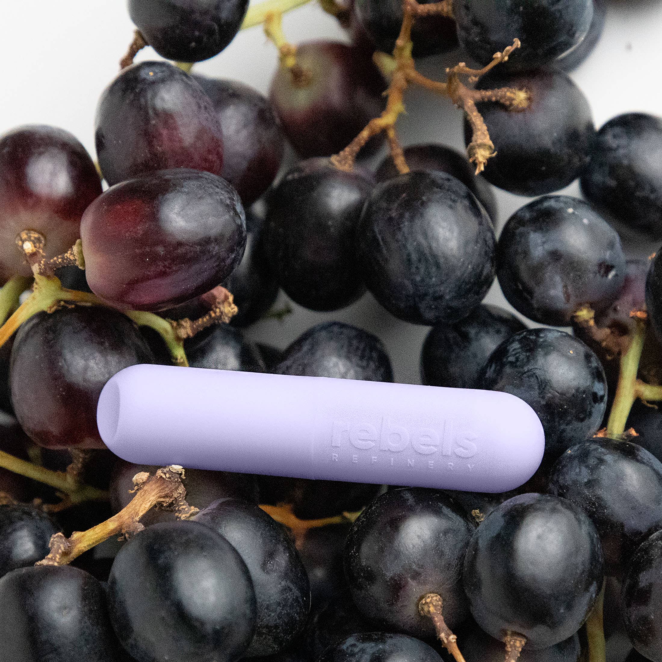 Rebels Refinery - Wholesale Lip Balm - Butter Bliss Two Pack Cactus + NEW Sleek Stick 3