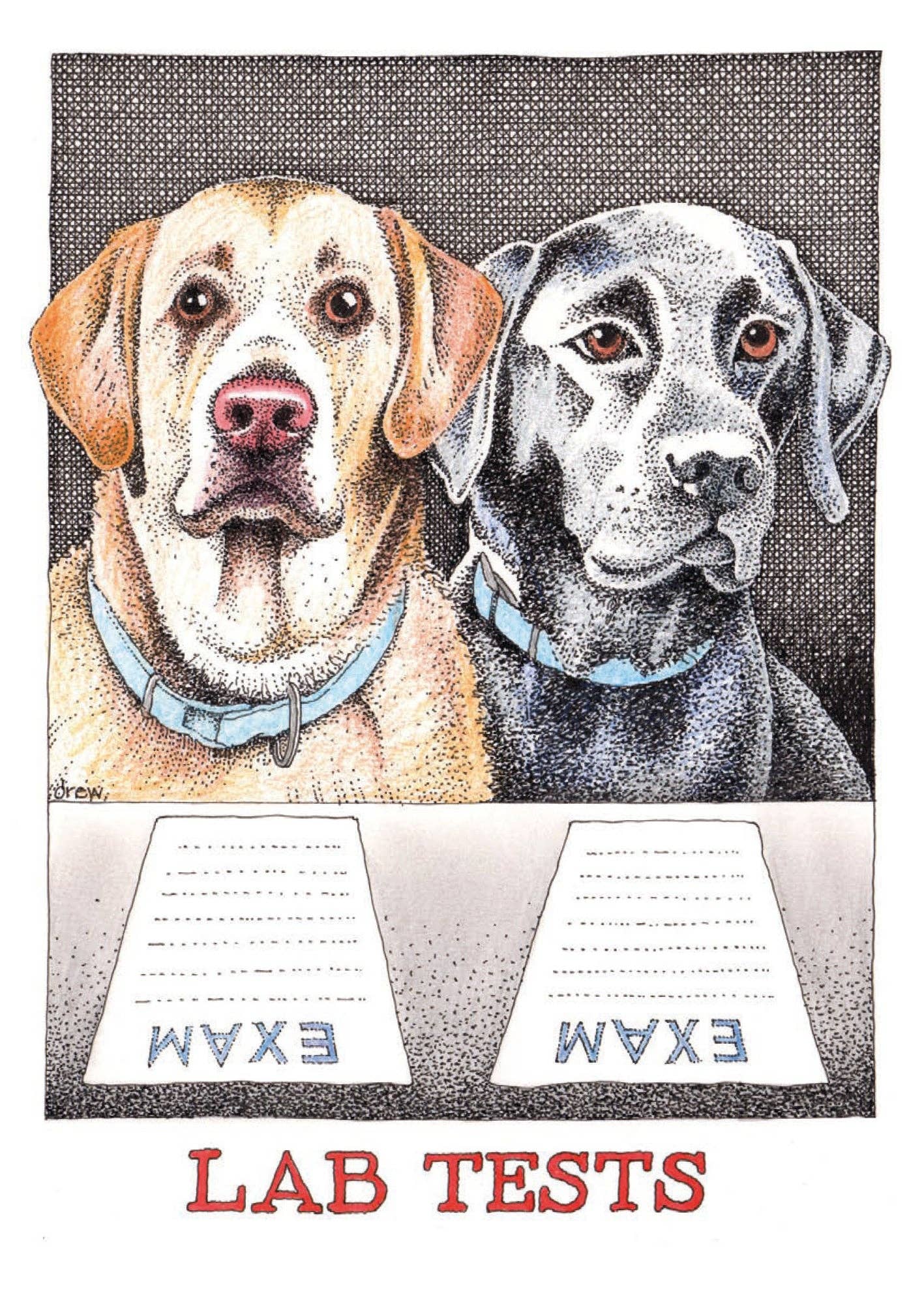 Cath Tate Cards – wholesale Everyday greeting card – LAB TESTS 1