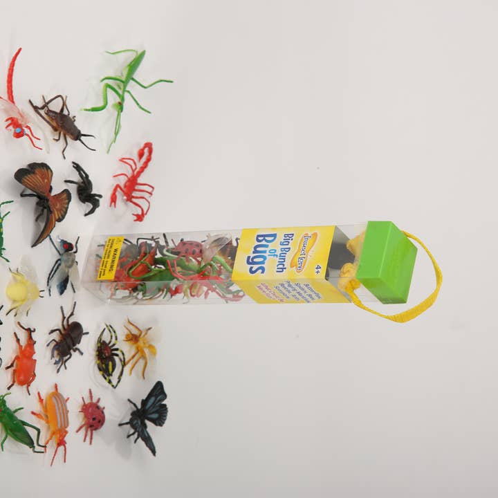 INSECT LORE - Wholesale Toy Set - Kids - Big Bunch of Bugs1