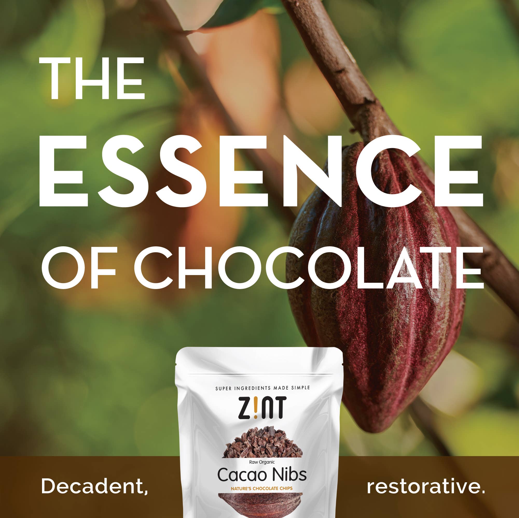 Zint Nutrition - Wholesale Chocolate - Organic Cacao Nibs (8 oz)3