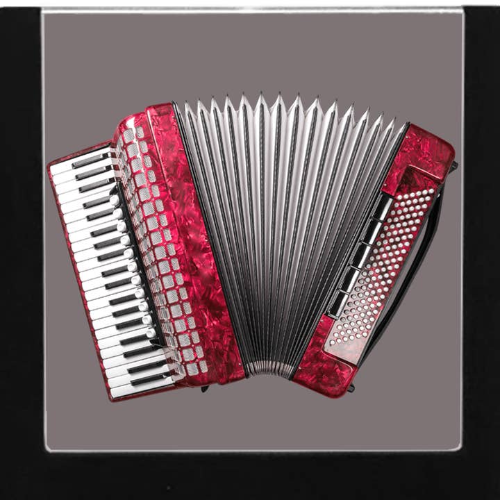 Acordeón para venta al por mayor de Nightlight Studio