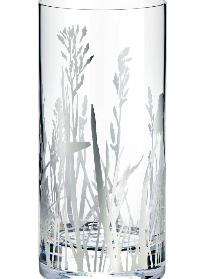 EGIZIA ACQUARIA BOX/6 HB MATRICARIA for wholesale by Arbiter