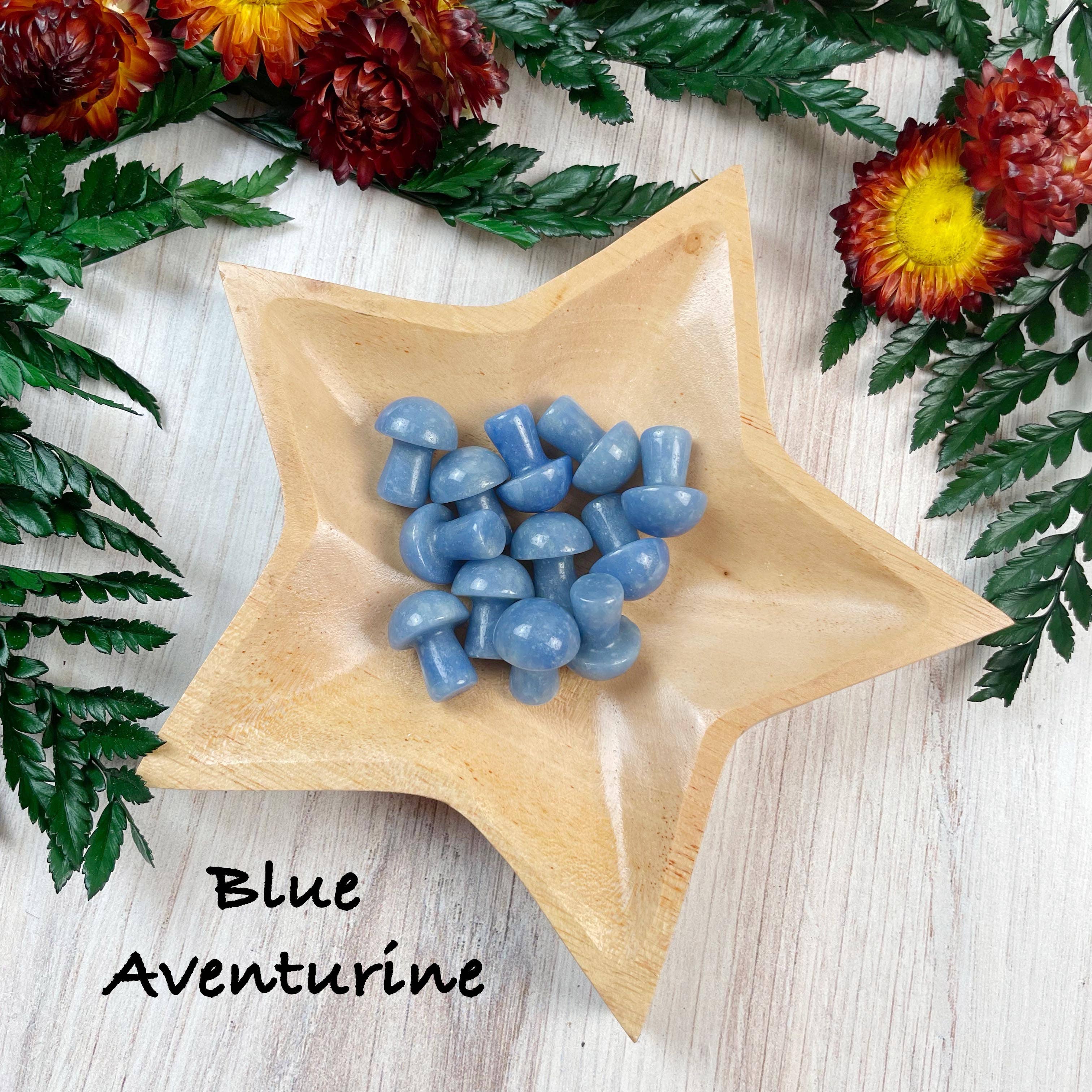 Ewelina Pas Jewelry - Wholesale Spiritual Stone/Crystal - MINI Gemstone Mushroom Pocket Stone24