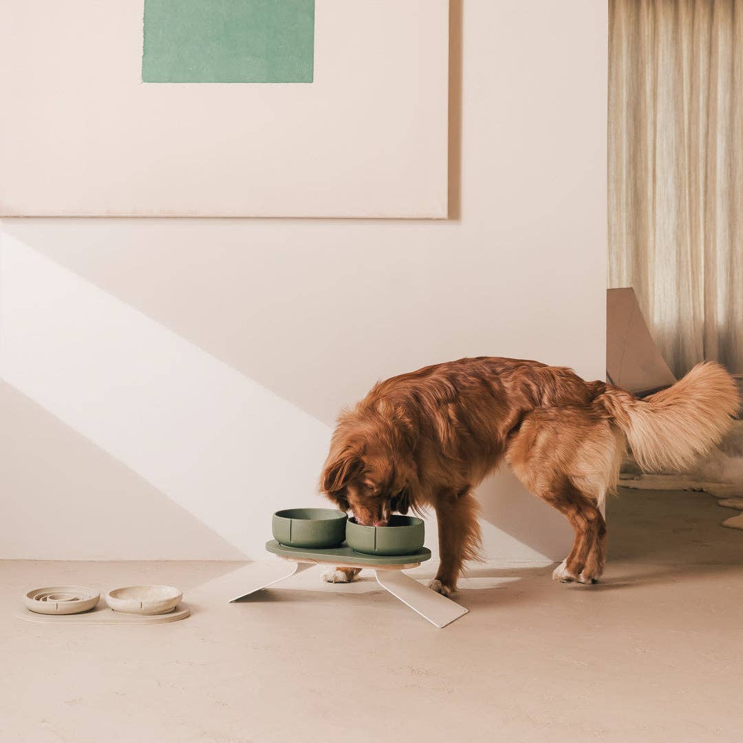 PINO – Engroshandel Kæledyrsskål – Hund – Klassisk skål30