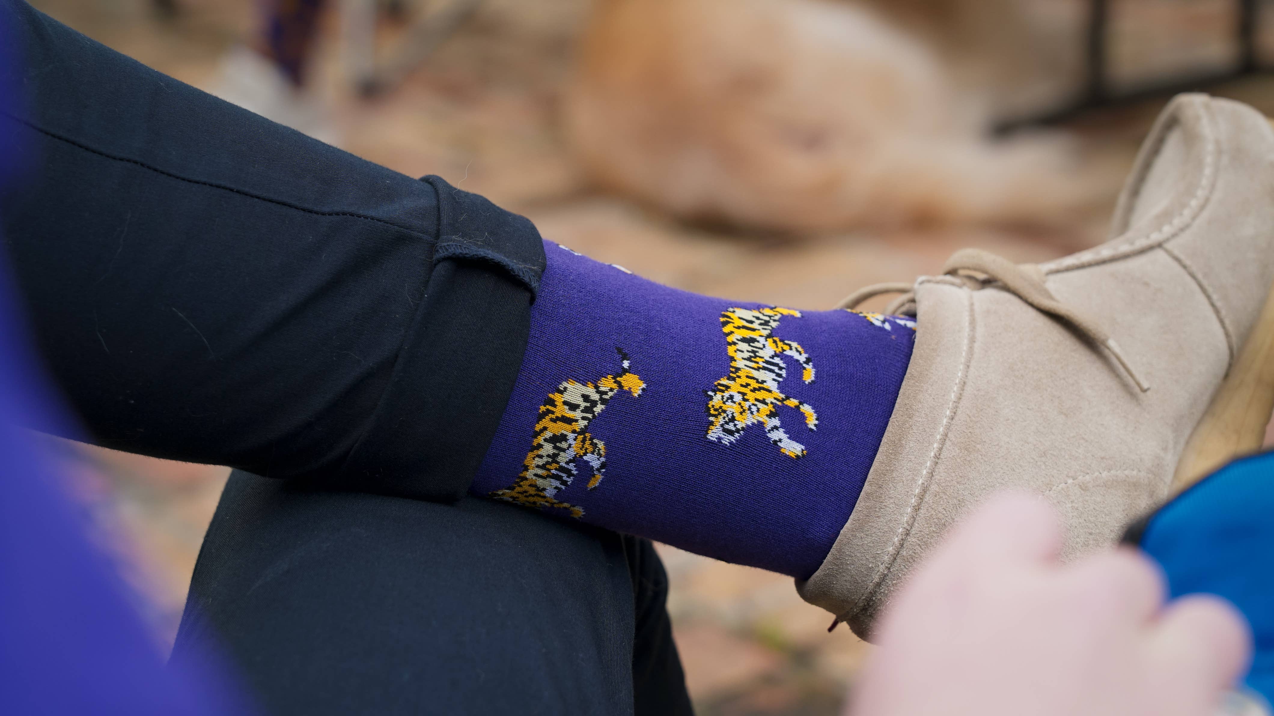 ELL & Atty - Wholesale Socks - Men's - Tiger Den Men's Socks in Purple and Gold Pima Cotton1