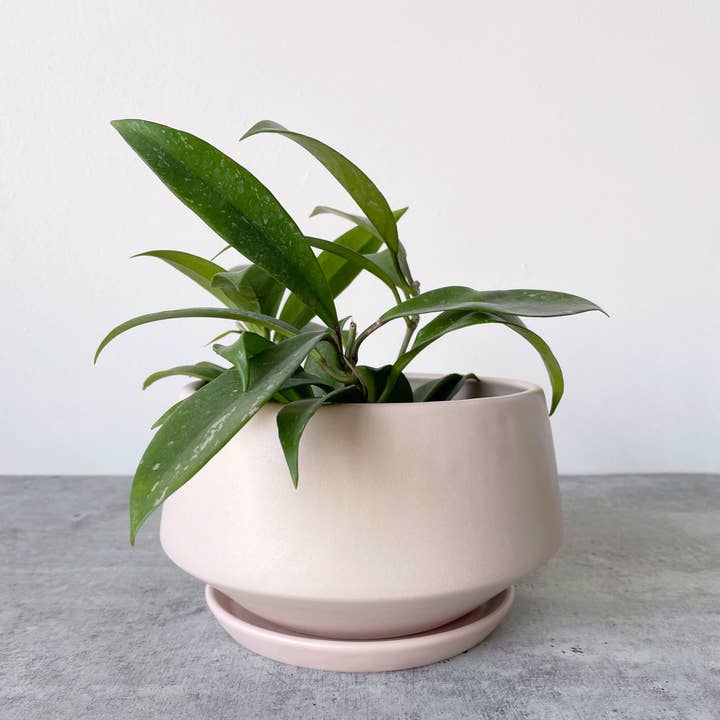 Little Fire Ceramics - Wholesale Plant Pot - Anna Bowl Planter