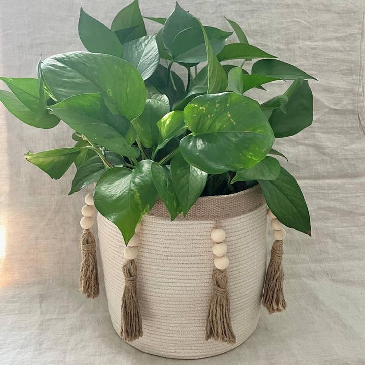 Rope Plant Pot with Tassels for wholesale by Artwork by Sandra Naufal