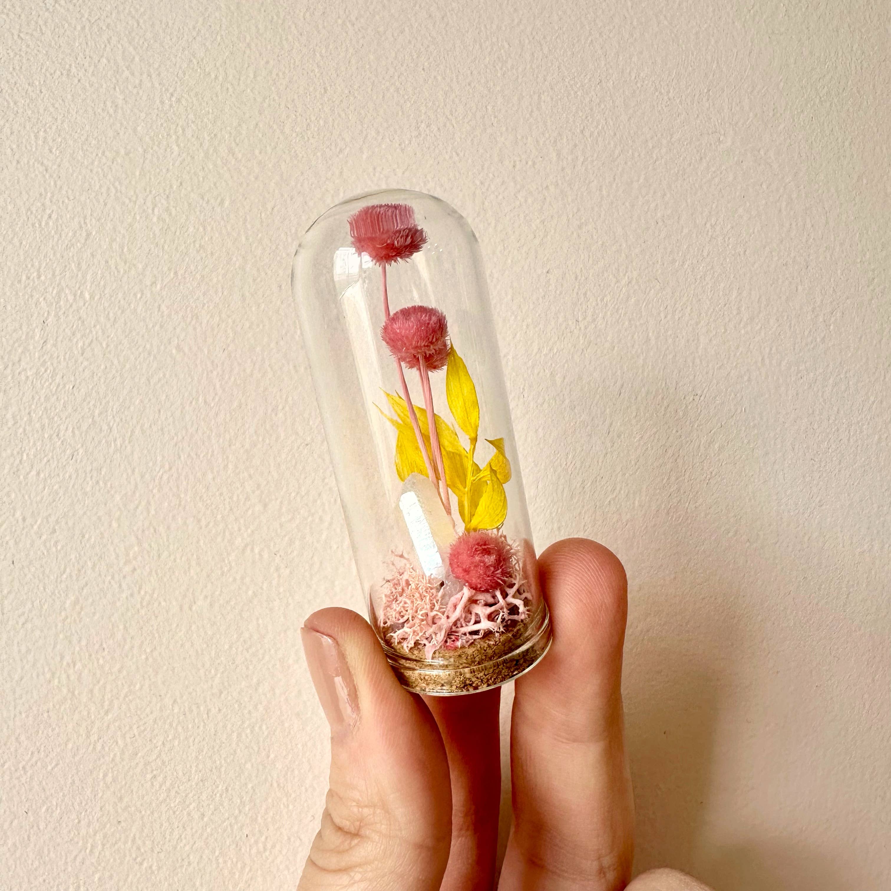 CA Studios - Wholesale Terrarium - Pink Crystal Fairy Garden Mini Glass Cloche Terrarium1