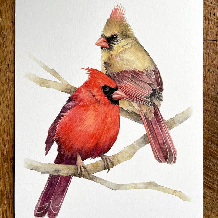 Northern Cardinal Couple - Watercolor Art Print, 8x10 inches for wholesale by Amy Shawley Paquette