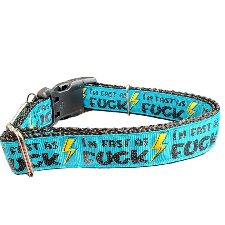 Fast As Fuck Nylon Dog Collar for wholesale by Doot's Pet - Collars For A Cause