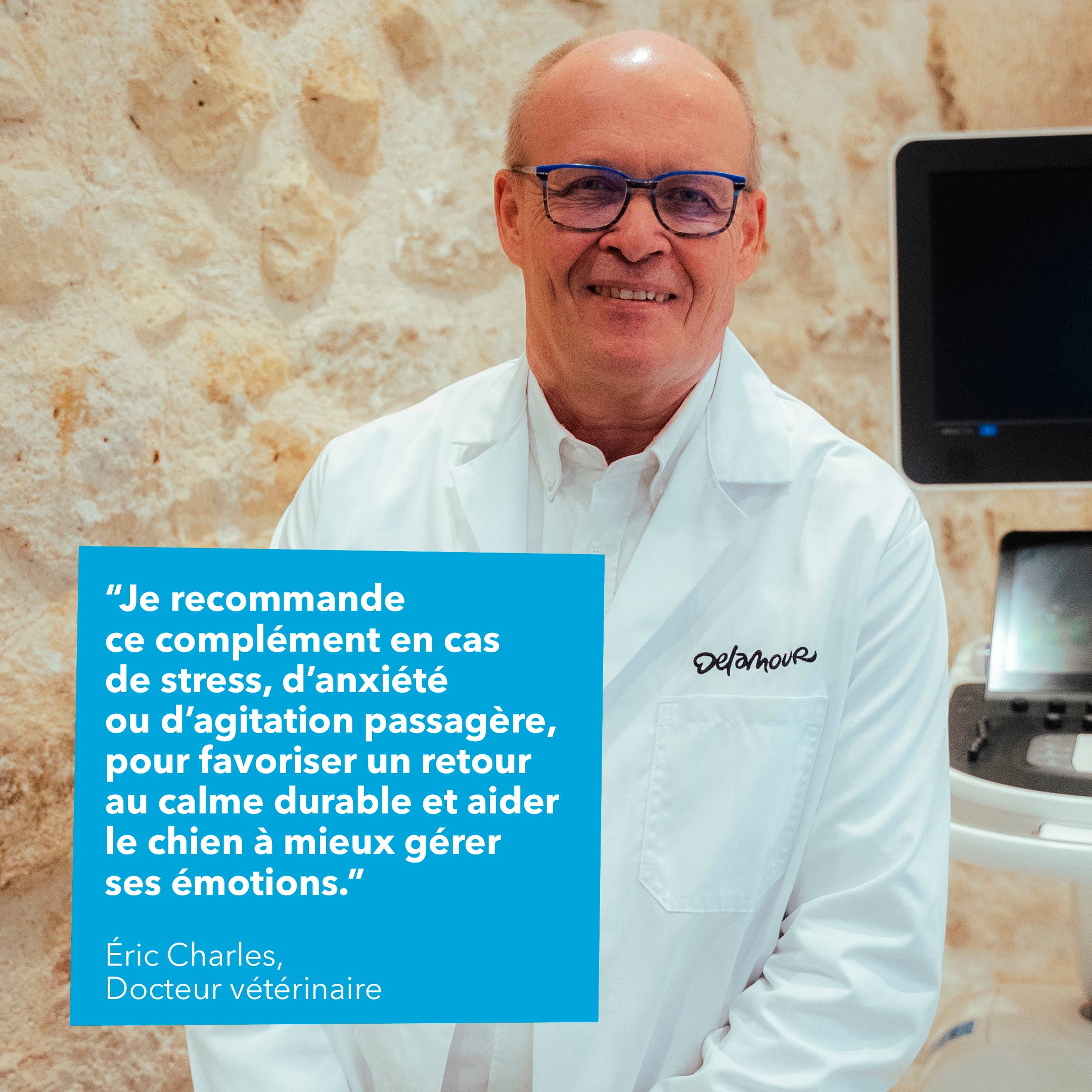 Delamour - Wholesale Pet Supplement - Dog - Les Bouchées - 90 chews to fight Anxiety (270g)8