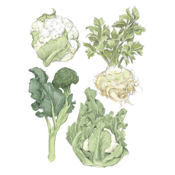 RFM-505 Winter Vegetables Greeting Card for wholesale by Rigel Paper