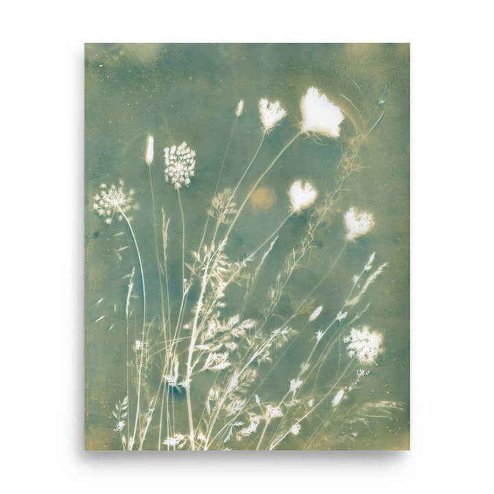 "Dusk" Botanical Art Print for wholesale by Nat Joy Design