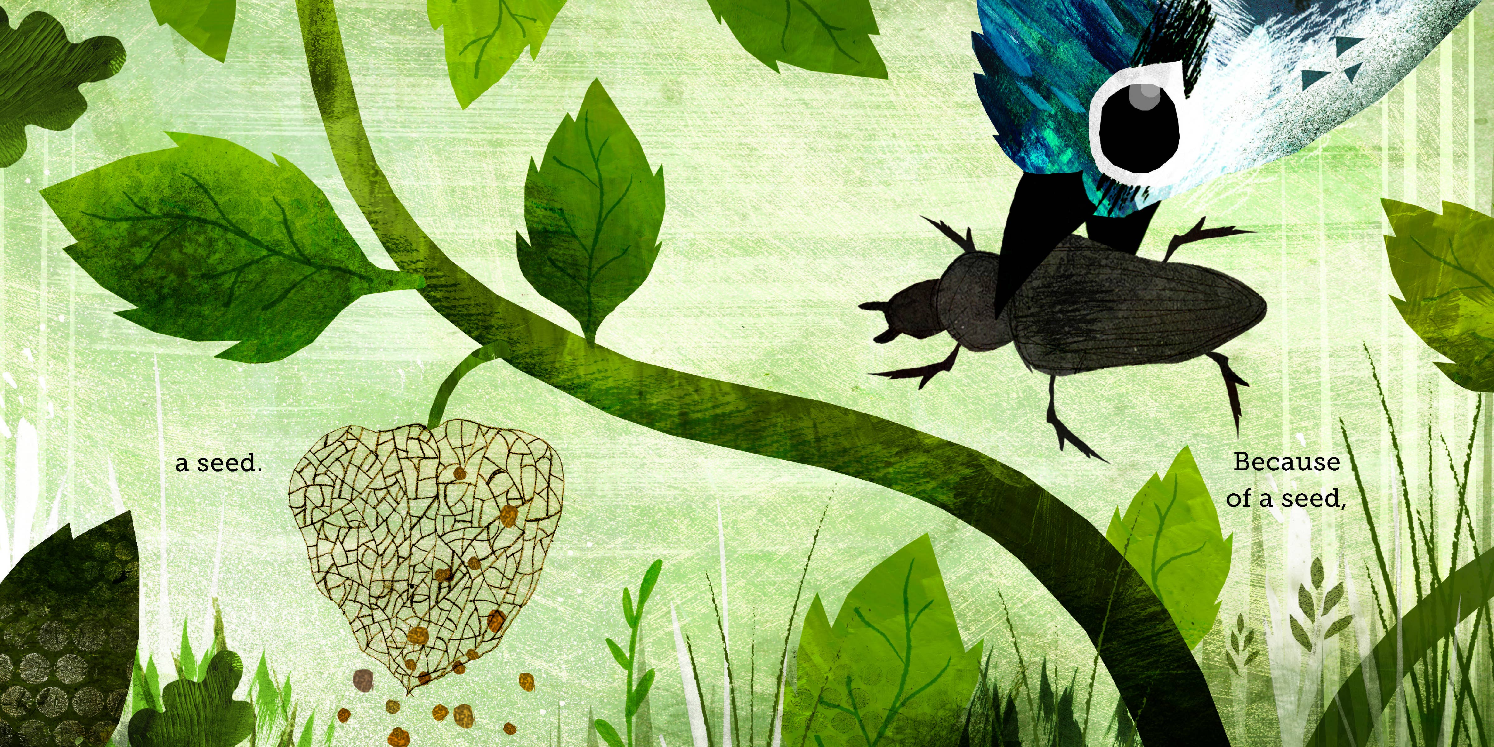 Chronicle Books - Wholesale Preschool Book (3-5) - Because of an Acorn6