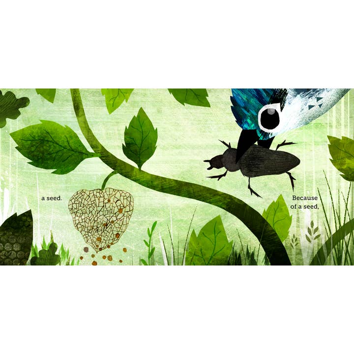 Chronicle Books - Wholesale Preschool Book (3-5) - Because of an Acorn6