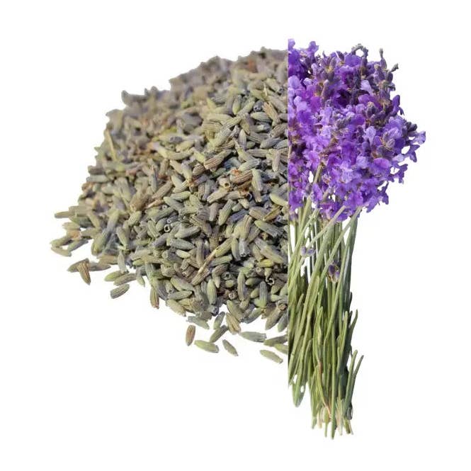 Cgollos de lavanda para venta al por mayor de Aromachology