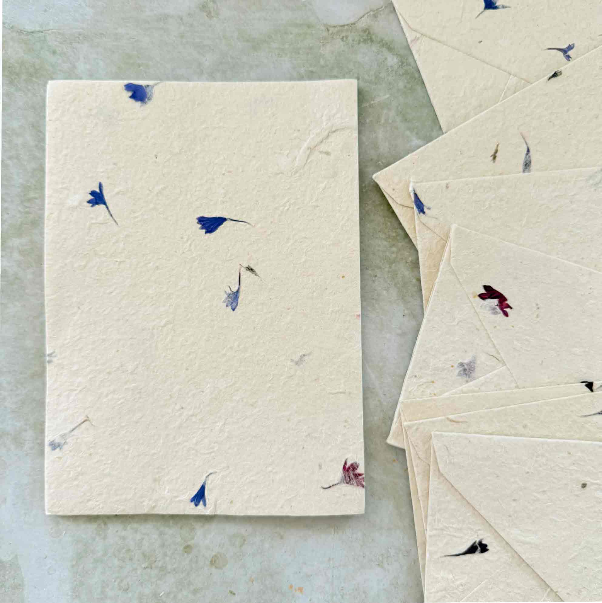 The Natural Paper Company - Vente Assortiments de papeterie/cartes - Papier Lokta fait main au Népal et enveloppes - Bleuet1