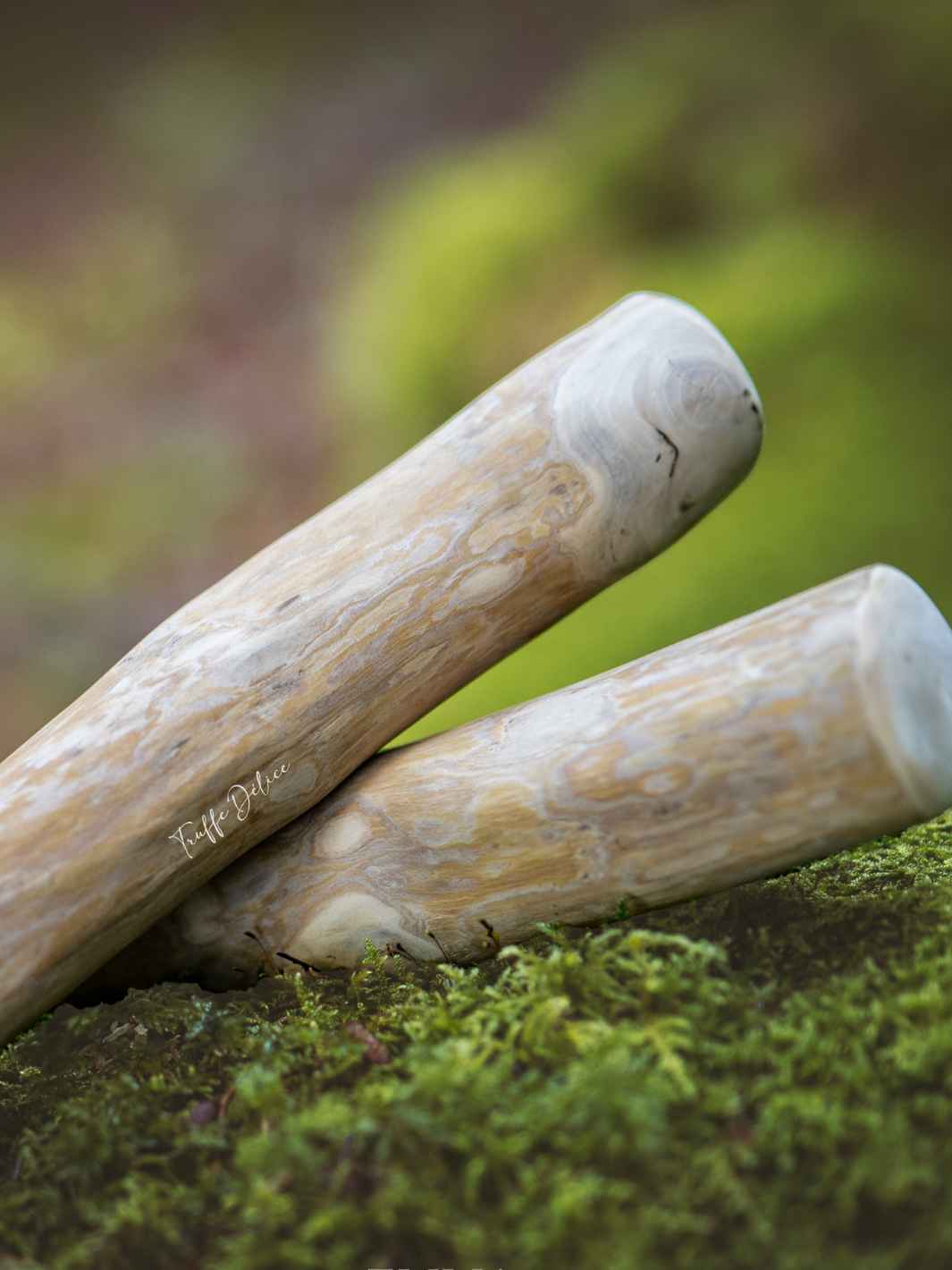 Truffe Délice - Venta al por mayor Juguete para morder - Perros - Madera de cafeto2