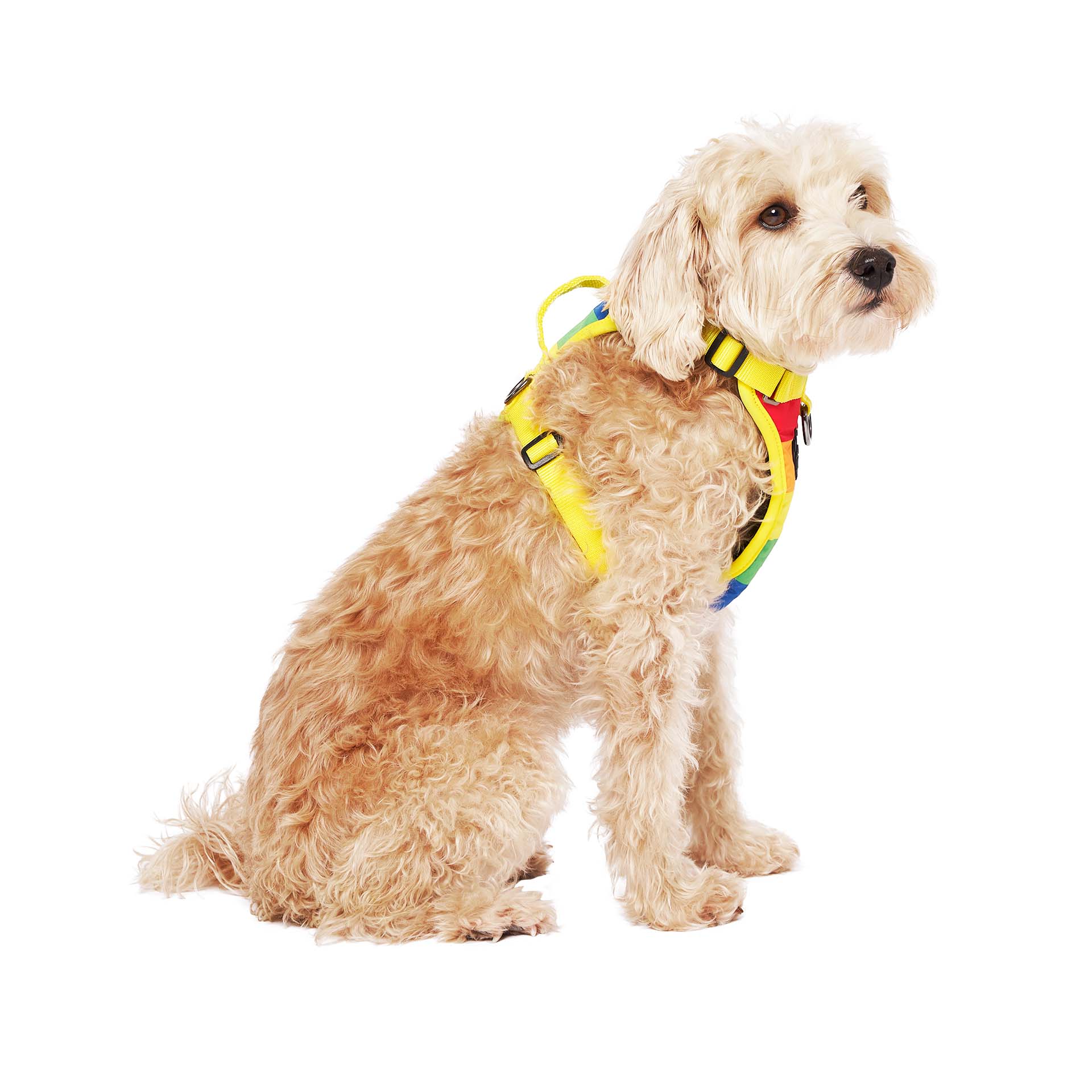 Canada Pooch – wholesale Pet harness – Dog – Everything Harness- No-Pull Dog Harness (Water Resistant)20