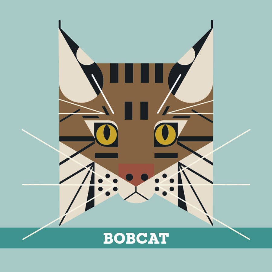 Pomegranate – wholesale Brain game – Child – Charley Harper’s Animals Memory Game2