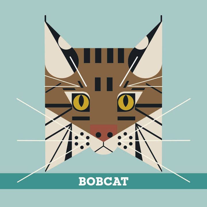 Pomegranate – wholesale Brain game – Child – Charley Harper’s Animals Memory Game2