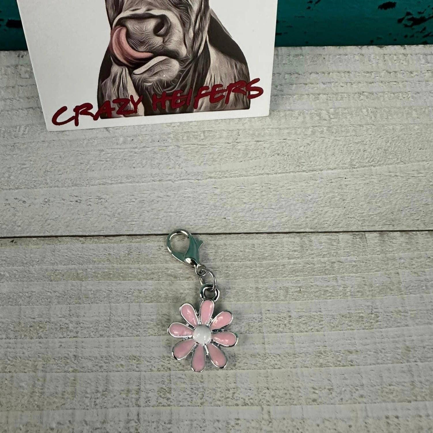 Crazy Heifers Wholesale - Wholesale Individual Charm/Pendant - Clip-on Charms Silver Tone26