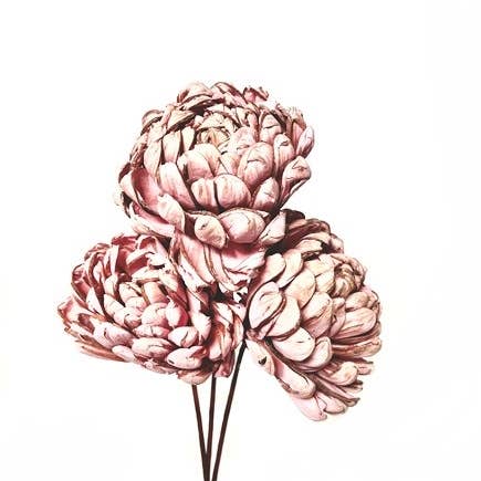 Botanico Ltd. - Wholesale Artificial Flowers - Sola Chrysanthemum5