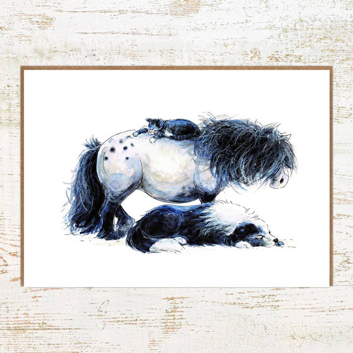 H-appy - Pony, Cat and Sheepdog Birthday / Greetings Card for wholesale by Pony Nut Gifts