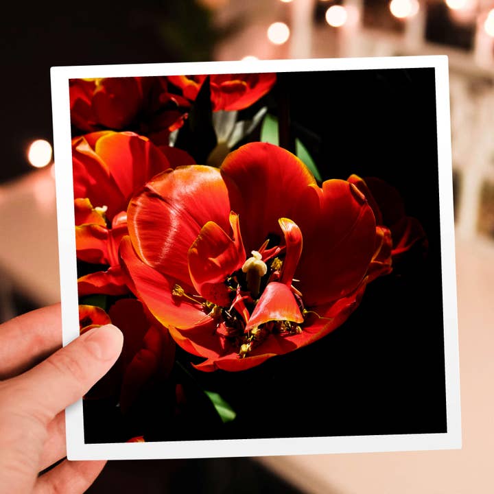 3dRose - Wholesale Everyday Greeting Card - 3dRose, Closeup view of a red tulip bulb full of tiny maple tree flowers, Greeting Card5