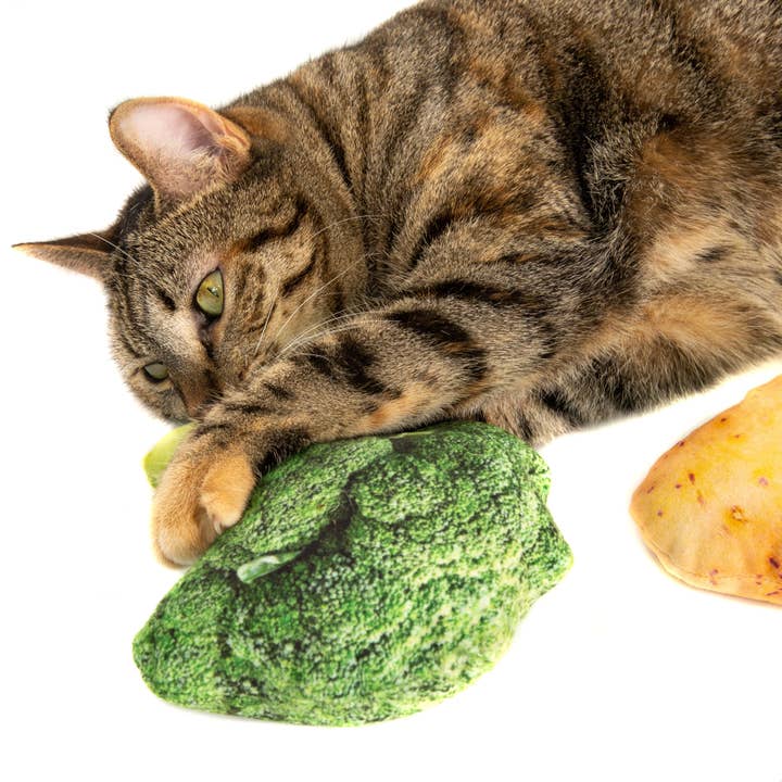 Natural Cat Toy - Wholesale Pet Toy - Cat - Catnip Jumbo Broccoli Cuddle Toy