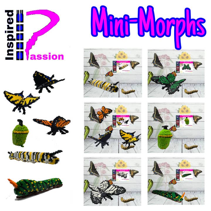 Compleet model met microblokken uit de Mini Morph-collectie, Desi voor wholesale door Inspired Passion Productions,LLC