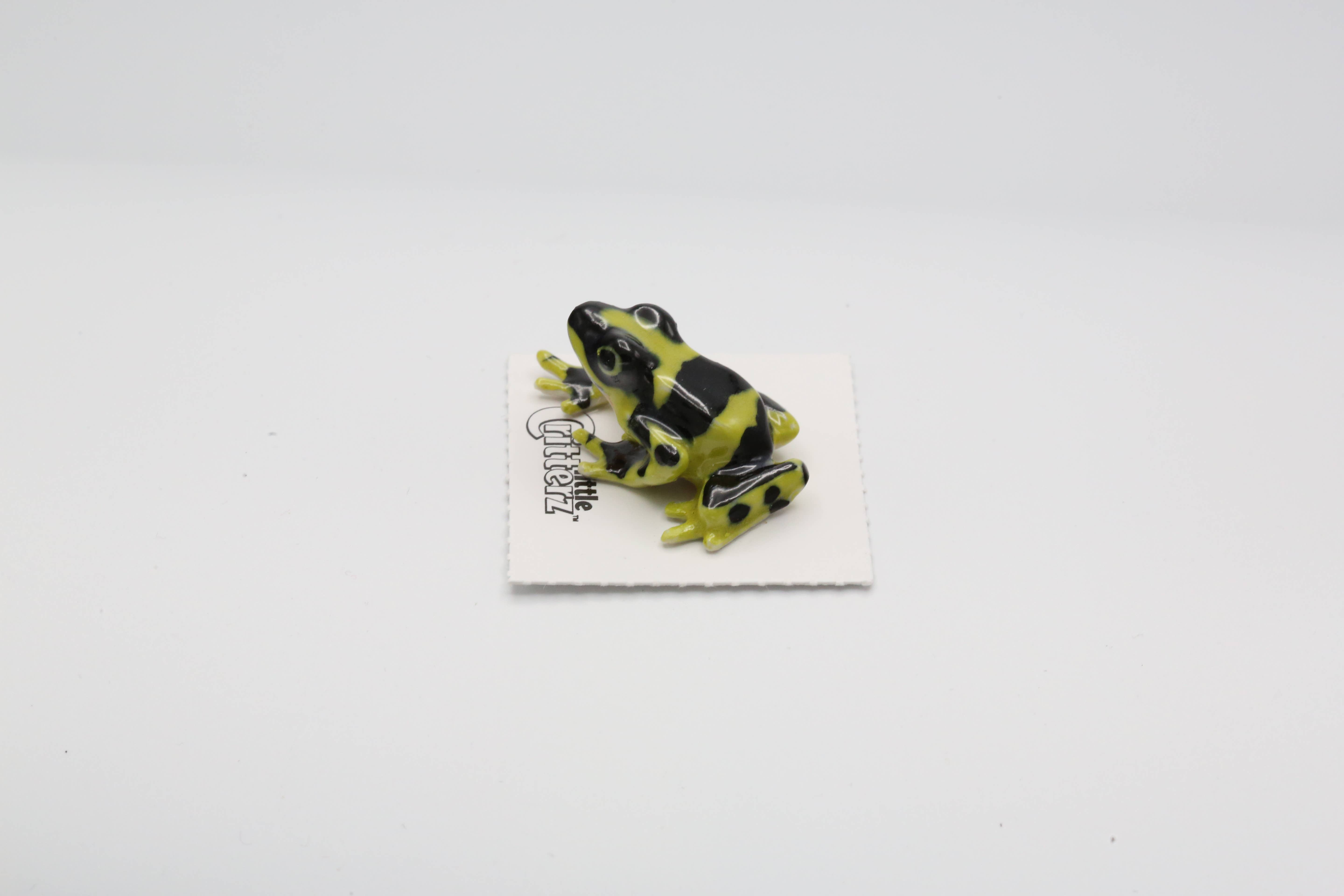 Little Critterz - Wholesale Decorative Figurine - Harlequin Poison Dart Frog Porcelain Miniature1
