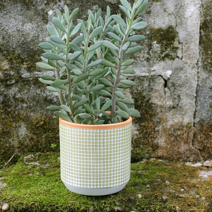 Casa Atlântica - Wholesale Plant Pot - Moss green checkered pot with saucer2