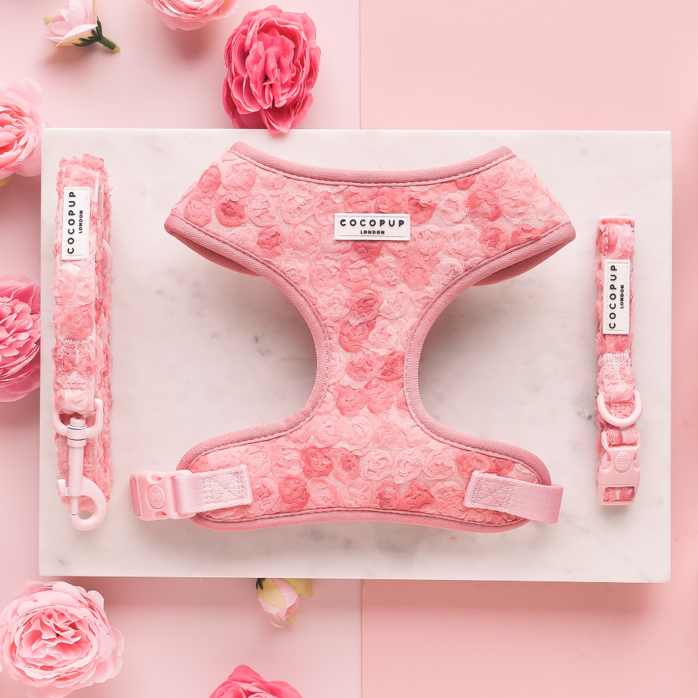 Cocopup London - Vendita all'ingrosso Guinzaglio - Cani - Guinzaglio Peony Pup con motivo floreale1