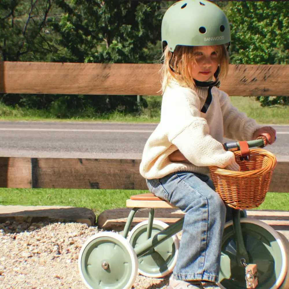 Banwood SL Europe - Wholesale Bike/Scooter - Kids - BANWOOD TRIKE VINTAGE - FOREST1