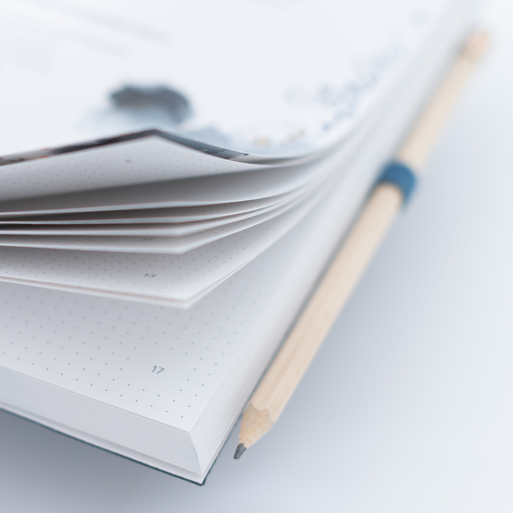 nez living | notebooks & bullet journals - Wholesale Notebook - vegan bio-leather notebook - Luisa; large / ruby7