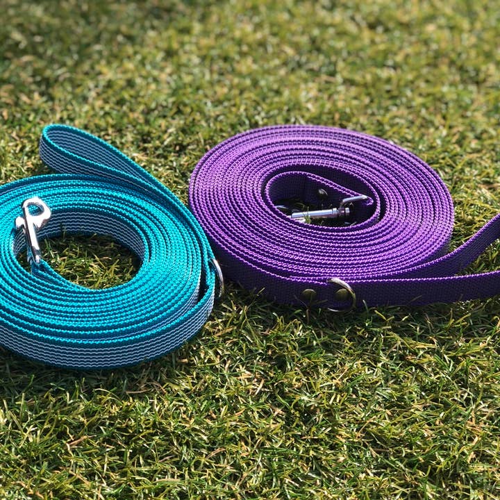 Four Paws Boutique - Wholesale Pet Leash - Dog - Dog Leash - Non-Slip Leash - Purple - Training - Tracking Line