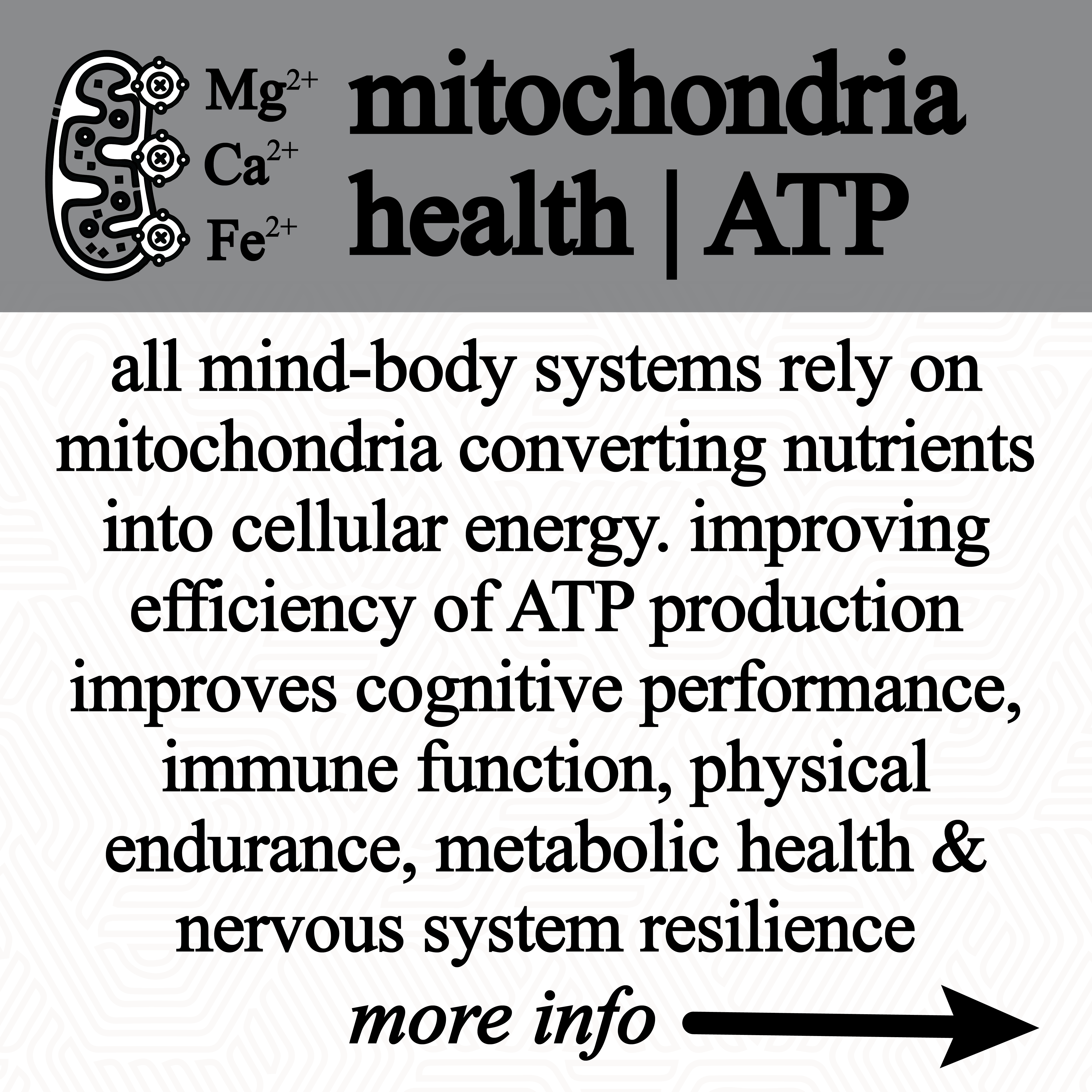 Roots Apothecary - Vente Supplément oral/vitamine - glycérine de shilajit (60 ml)7