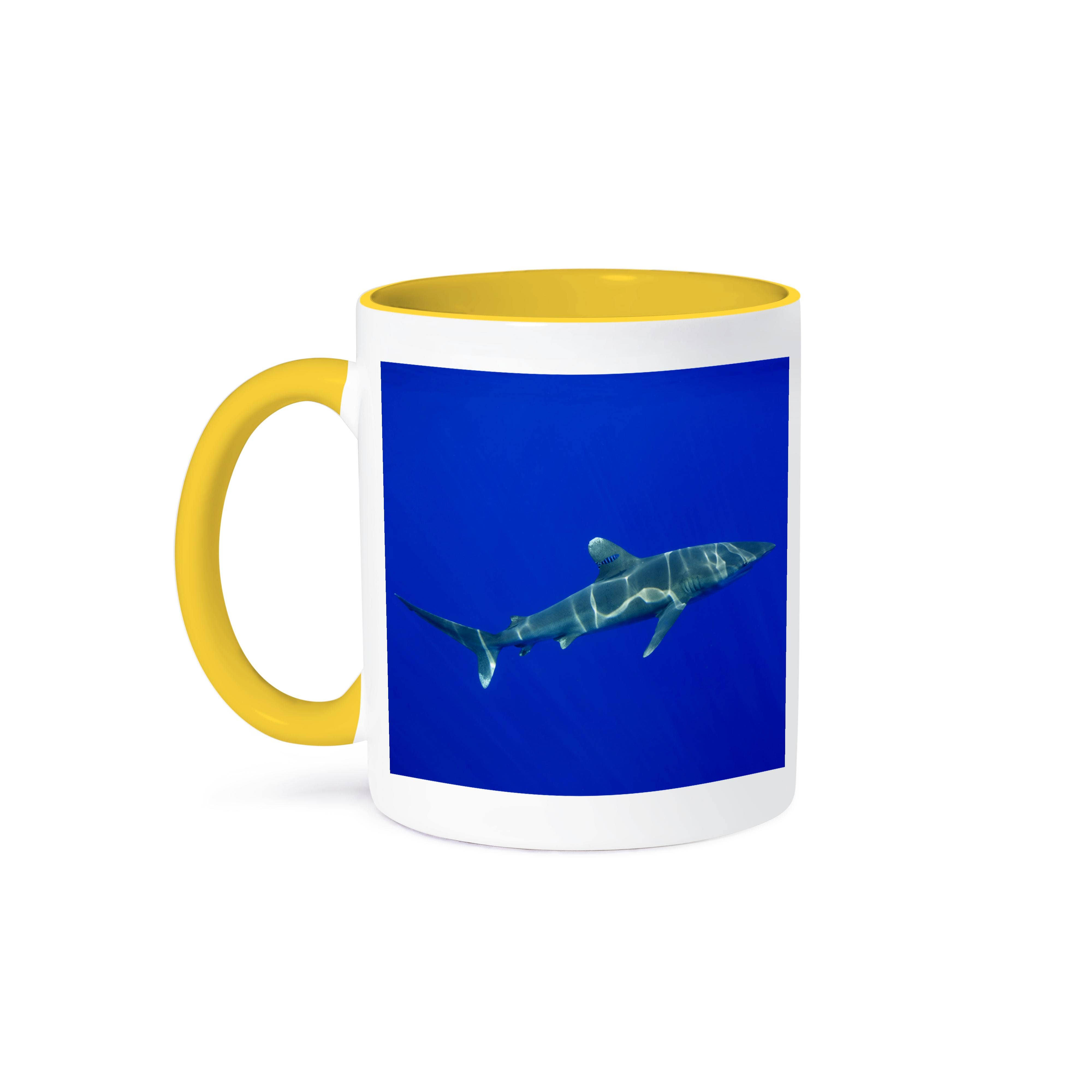 3dRose - Wholesale Coffee Mug - 3dRose, Hawaii, Big Island, Oceanic White Tip Shark - US12 PSO0035 - Paul Souders, Mug0