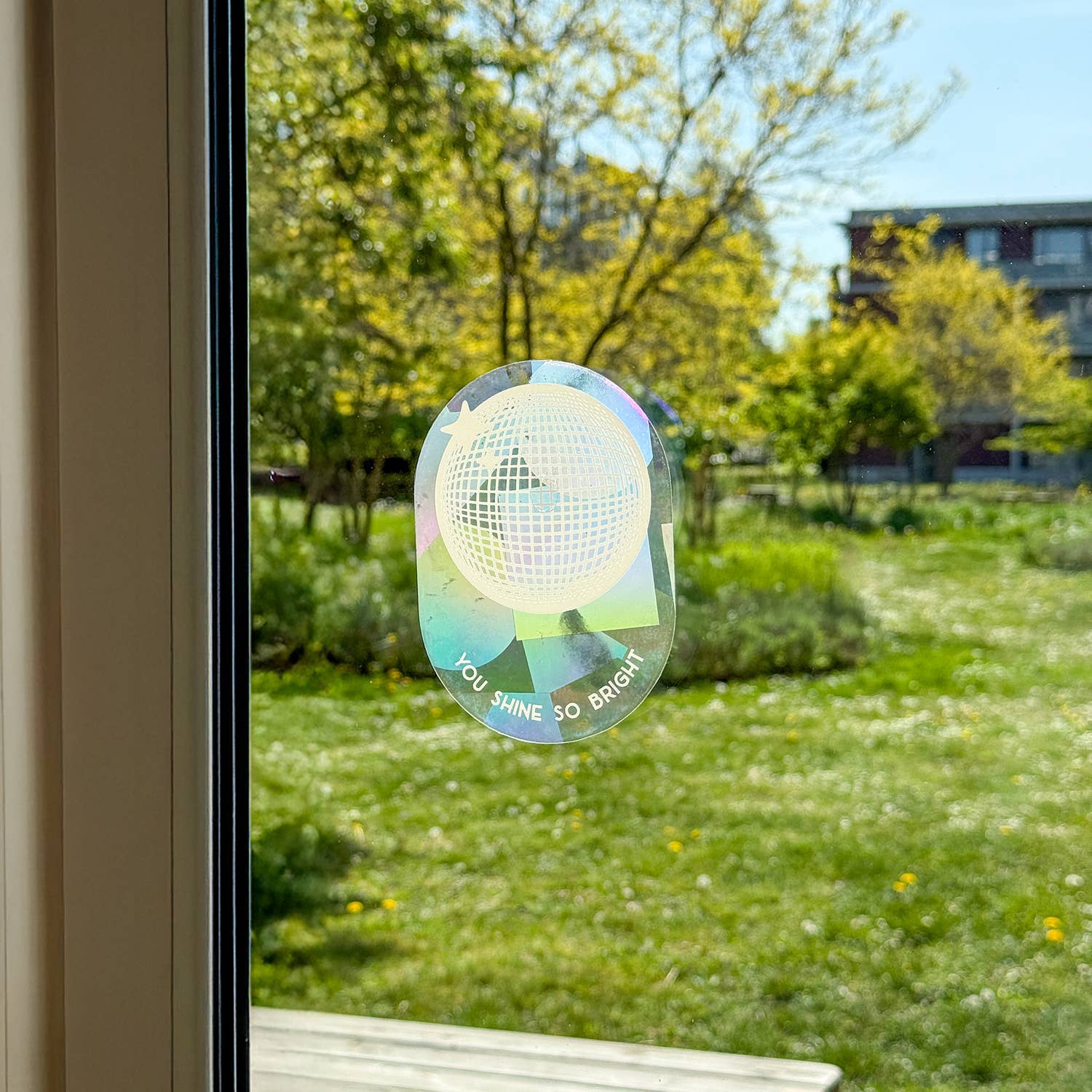 Botanopia USA - gifts , decor and cards for plant lovers - Wholesale Suncatcher - Rainbow maker sticker - You shine so bright5