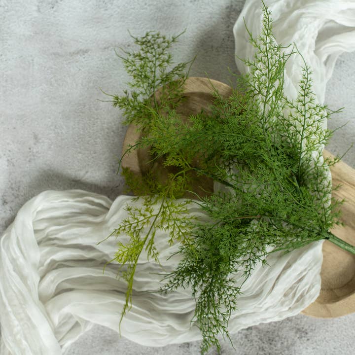18" ASPARAGUS FERN for wholesale by Ragon House