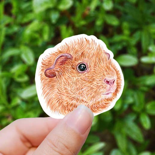 Sweet Humors - Wholesale Sticker - Buff Guinea Pig Face Vinyl Sticker1