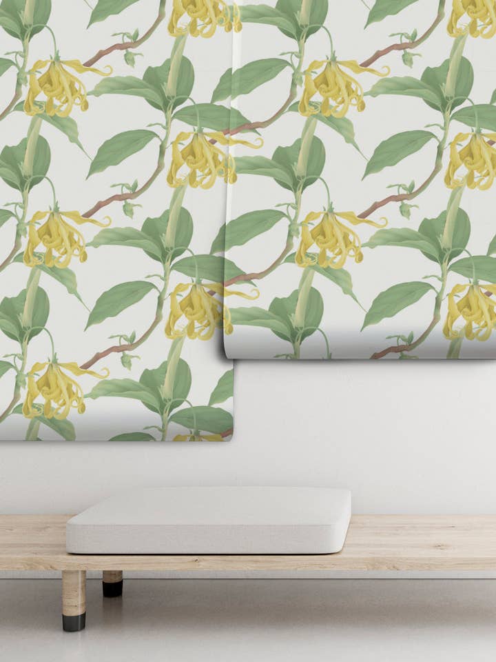 Fleurs de Pochas pour la vente par PIPAPEL